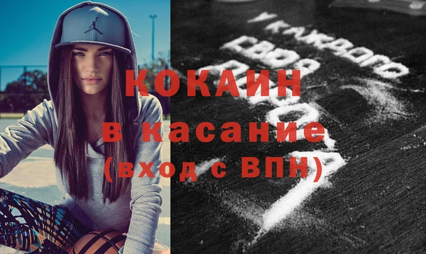 стафф Тайга