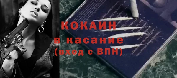 стафф Тайга