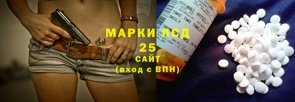 стафф Тайга