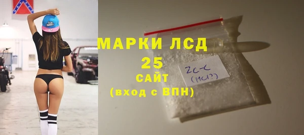 стафф Тайга