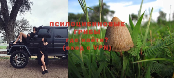 стафф Тайга