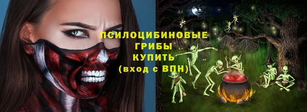стафф Тайга