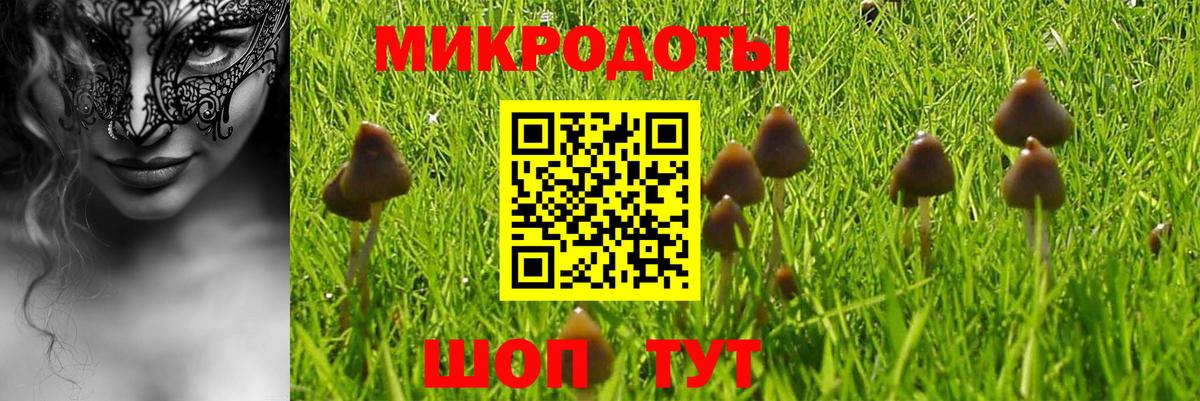 Псилоцибиновые грибы Cubensis Новый Уренгой