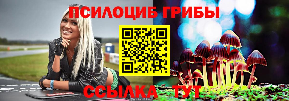 Новый Уренгой  Псилоцибиновые грибы Psilocybe  Вход с VPN 